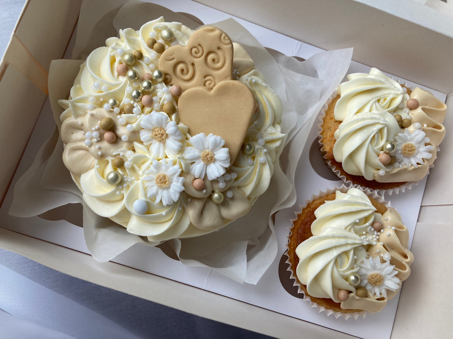 Bento Cake and 2x Cupcakes