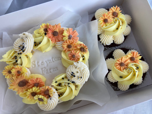 Bento Cake and 2x Cupcakes